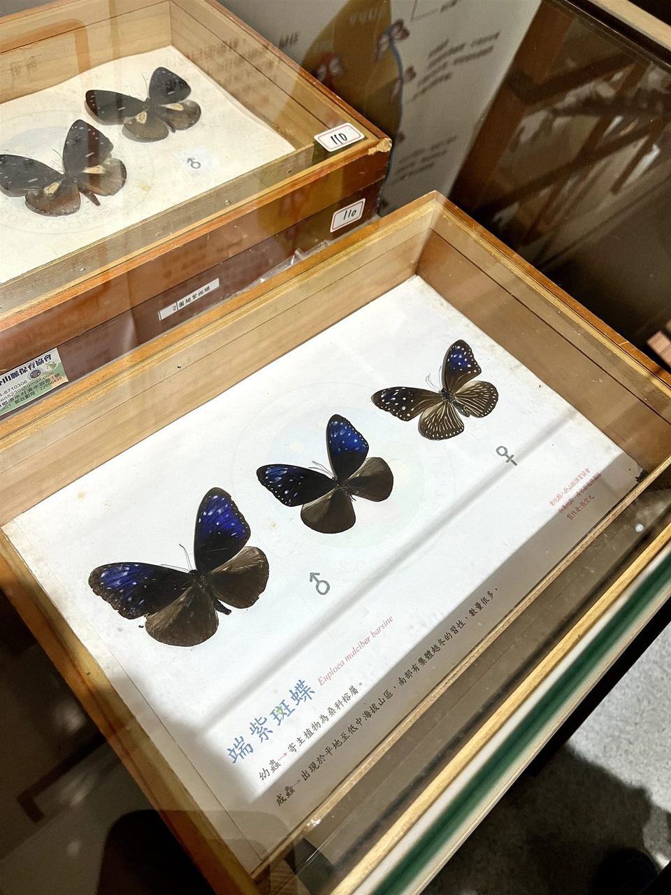 2026 育心冬令營