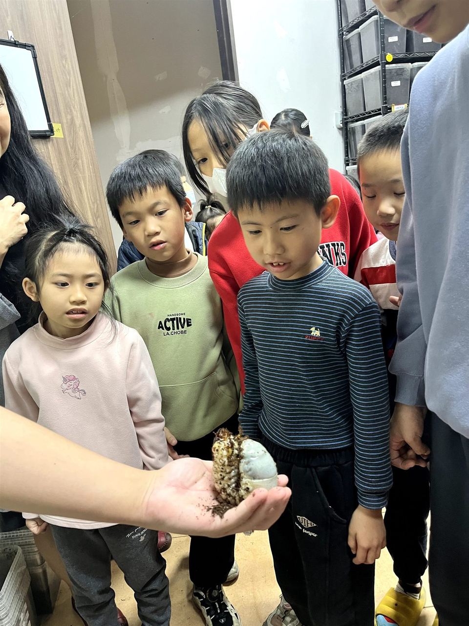 2026 育心冬令營